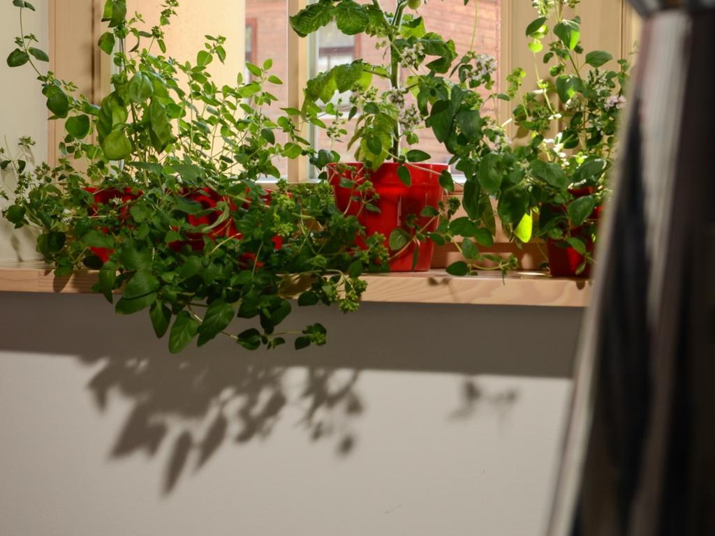 Mans Nams - Self Check In Hotel Saldus Quarto foto